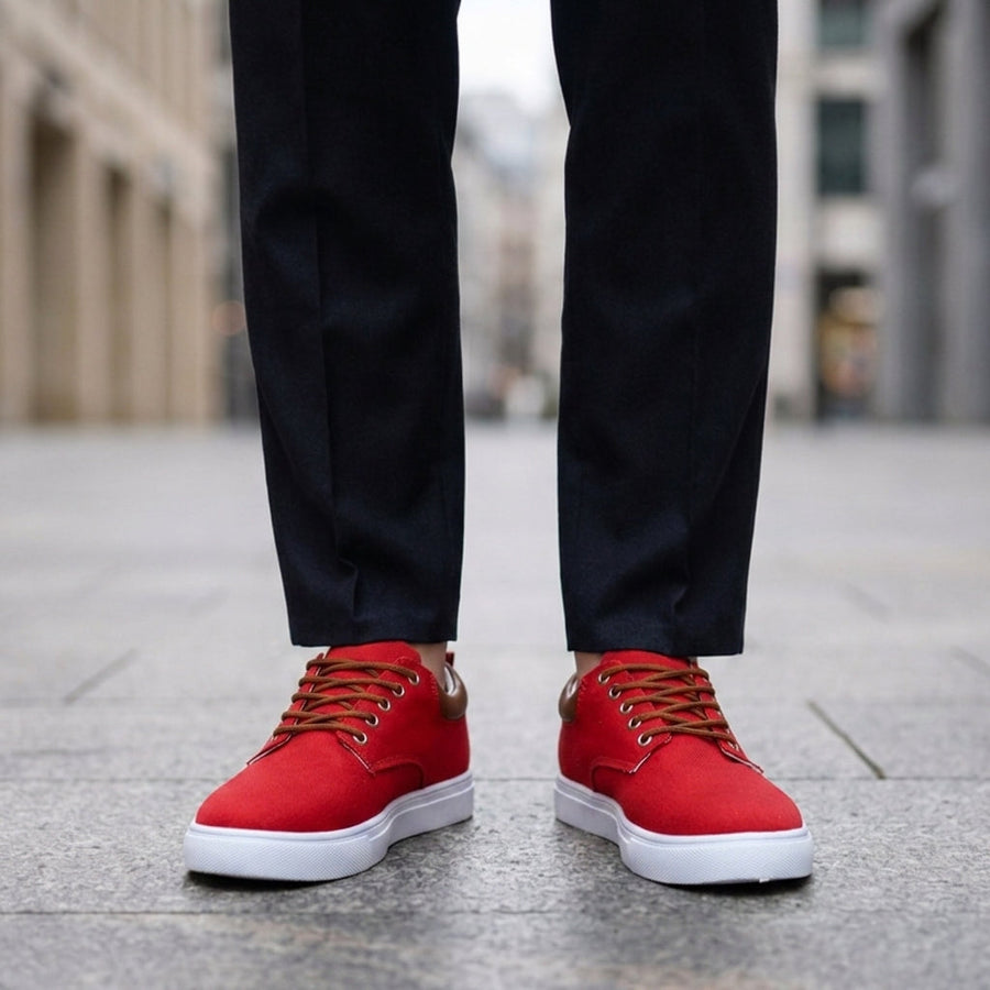 Levi | Avignon Canvas Low-Top Sneakers